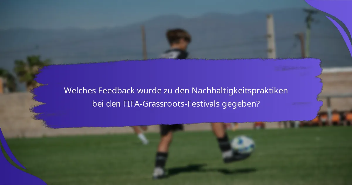 Welches Feedback wurde zu den Nachhaltigkeitspraktiken bei den FIFA-Grassroots-Festivals gegeben?